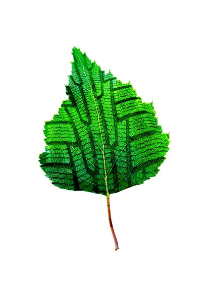 Nokian_environmentally_tyres_.jpg
