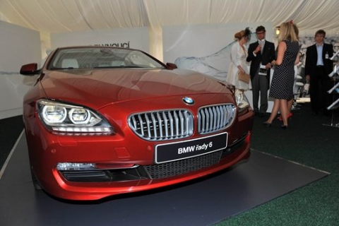 bmw_6_polo.jpg