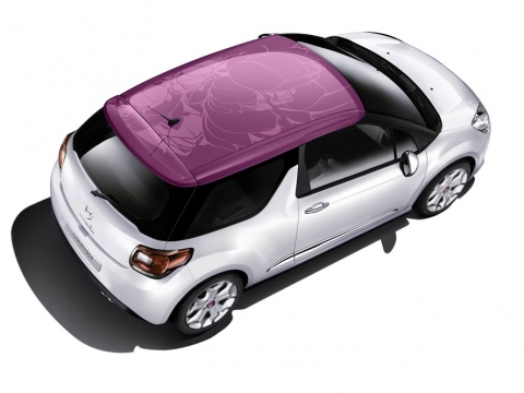 citroen_fuchsie.jpg