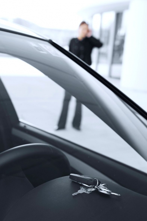 BMW_Remote_dalkove_odemykani.JPG